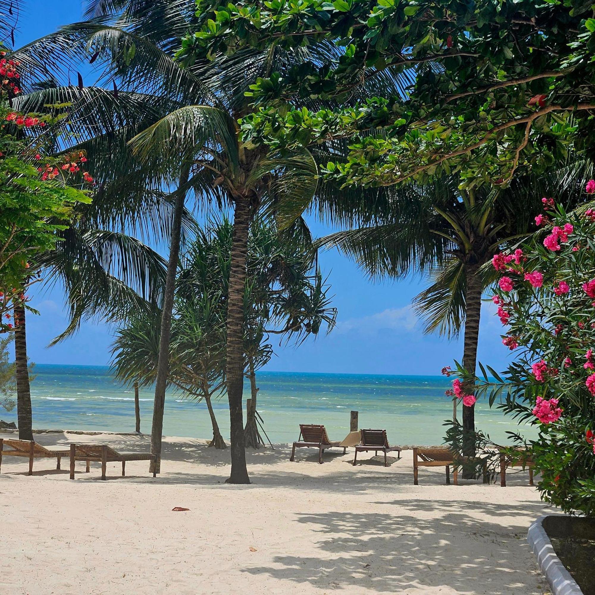 Maharaja Boutique Hotel Zanzibar Làng Làng Uroa Ngoại thất bức ảnh